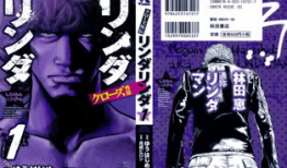 热血高校动漫,青春热血，热血沸腾的青春篇章